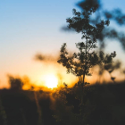 El tiempo en Valdepiélago AEMET Foto: Pexels