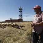 El rebaño de Ignacio Quintana, pastor de Bercianos del Real Camino desde hace 43 años, es testigo de la lenta evolución de la construcción de la nueva iglesia.