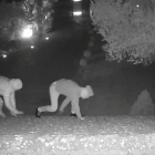 Los robos se producían con violencia en viviendas unifamiliares de Madrid y Barcelona.