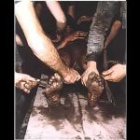 El Gobierno argentino ha hecho públicas unas fotos escalofriantes de un centro de entrenamiento de comandos en el que se torturaba a los aspirantes. Fue en 1986, en plena democracia.