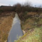 El agua del arroyo La Dehesa del Bayo se tiñó de azul y después adquirió un color blanquecino.