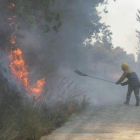 Un trabajador forestal interviene en un incendio, en una foto de archivo