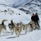 El mushing es un deporte de reciente creación de origen nórdico que tiene en la nieve a su elemento principal aunque también se puede practicar perfectamente sobre tierra durante los meses en que no hay nieve. León tiene abundancia de ambas. DL