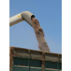 La producción de cereales de 2009 ha sido pésima.
