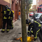 Los bomberos, durante su intervención en el piso incendiado en la calle San Juan de Sahagún. CANAL