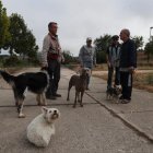 Un grupo de perros y sus propietarios, en Ponferrada. ANA F. BARREDO
