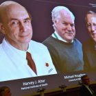 Momento en que el jurado del Nobel de Medicina comunica el galardón a los tres científicos. CLAUDIO BRESCIANI