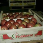 La producción y venta de manzana reineta se ha situado en cifras récord