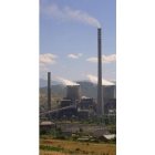 Las eléctricas reclaman medidas para evitar pérdidas.