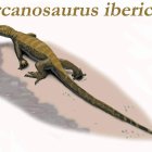 Dibujo del fósil de reptil recién descrito.