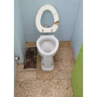 Estado de uno de los baños. DL