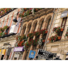 Vista de los balcones de la calle Ancha, en la subida hacia la Catedral, con los balcones engalanados de flores.