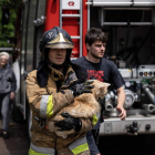 Un bombero rescata a un gato en Kryviy Rih. STAS KOZLIUK