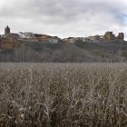 Valderas, con su castillo de fondo. JESÚS F. SALVADORES