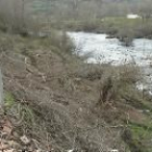 Arriba, la ribera del río sin árboles. Abajo, los chopos que se cortaron