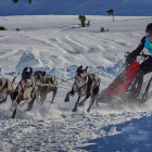 El mushing le reportó a la Federación de Castilla y León ocho medallas en enero. FDICYL