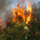 Imagen del incendio forestal en las Fragas do Eume.