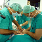 Las donaciones permitieron trasplantar 23 hígados, 8 pulmones y 6 corazones entre otros.