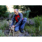 Alimentar a la fauna tras el incendio ha favorecido el contacto de los vecinos de la zona con los ciervos.