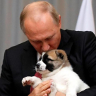 El presidente ruso Vladimir Putin  besa un perro pastor de Asia Central.