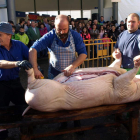 Las jornadas de la matanza y la Feria de Santa Catalina comienzan mañana a las 10.30 horas. CAMPOS