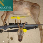 Imagen del corzo incautado a los tres cazadores tomada por agentes de la Guardia Civil