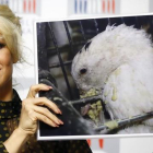 Pamela Anderson muestras fotos de ocas durante su conferencia de prensa en la Asamblea Nacional, en París, este martes.