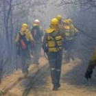 Brigadas forestales realizando labores de extinción de incendios en la comarca del Bierzo