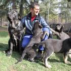 Avena con sus cuatro cachorros y el cuidador, Alfonso, en el criadero de mastines de la Diputación en San Cayetano.