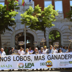 Ganaderos, en la concentración ante la Delegación Territorial de la Junta en Palencia. A. ÁLVAREZ