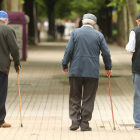 Tres personas mayores caminan por el paseo de La Condesa. L. DE LA MATA