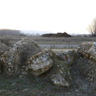 Estiércol sobre los restos del yacimiento romano de Los Villares, que ha sufrido continuos expolios.