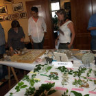 Exposición de plantas y restos de animales.