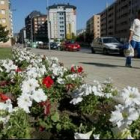 El Ayuntamiento ha puesto ocho multas en los últimos días a personas por robar plantas