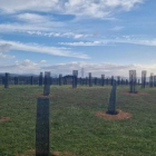 La plantación de los árboles en lo que era un área degradada en La Cogolla ya ha terminado. DL