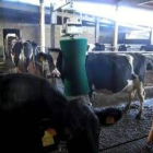 Los ganaderos denuncian irregularidades en las ayudas de la PAC