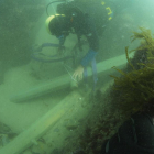 Uno de los buzos del equipo portugués que encontraron el naufragio cerca de las costas gallegas