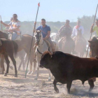 Vuelve el Toro de la Vega, un año más sin matar al astado.