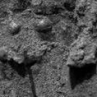 La sonda microscópica que lleva el «Opportunity» captó indicios de «objetos esféricos brillantes»