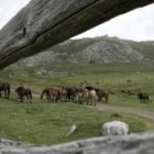 El pleito por las nuevas normas de uso que se proyectan para el Puerto de Pinos se mantiene abierto