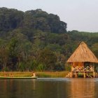 Imagen típica de la Amazonía peruana, donde la naturaleza se muestra exuberante.