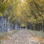 El otoño comienza el día  23, según el Observatorio Astronómico. DL