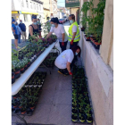Los trabajos están relacionados con la jardinería y la reforestación. DL