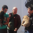 Tras las jornadas del lobo celebradas en Riaño se entregaron dos crías de mastín. CAMPOS