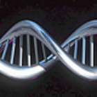 Recreación informática del genoma humano.