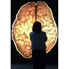 El proyecto se basa en técnicas de aprendizaje automáticos a través de neuroimágenes.