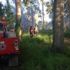 Voluntarios de Protección Civil de San Andrés, en uno de los fuegos favorecidos por pelusas de chopo