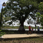 Ferry transportador de vehículos sobre el río Magdalena por el que se llega a la ciudad colombiana.