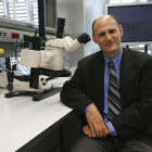 Juan Carlos Izpisúa, del Instituto Salk, de California, en el Centro de Medicina Regenerativa de Barcelona.