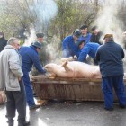 Un grupo nutrido de vecinos se sumó a la tarea de matanza.